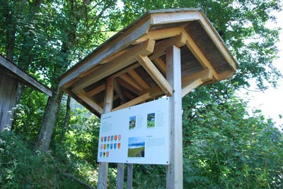 ratenpfad_400.jpg